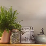 Casa Horea 54 * Cluj-Napoca