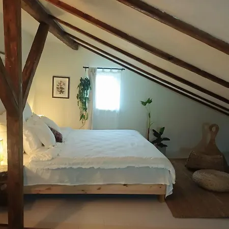 Casa Horea 54 *