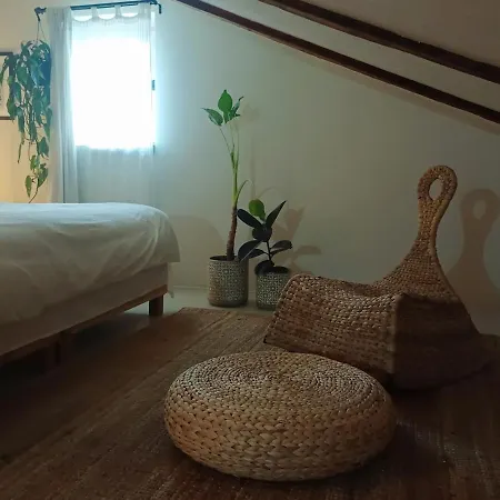 Dom wakacyjny Casa Horea 54