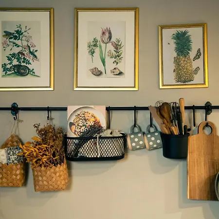 Casa Horea 54 * Cluj-Napoca