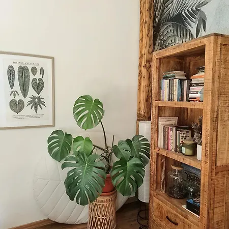 Casa Horea 54 Kluż-Napoka