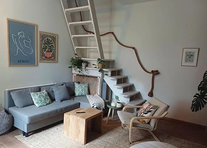 Case de vacanță Casa Horea 54 Cluj-Napoca