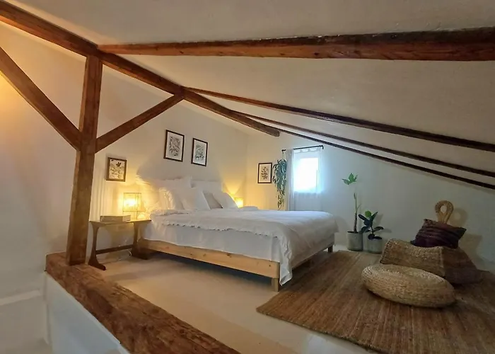 Casa Horea 54 Cluj-Napoca