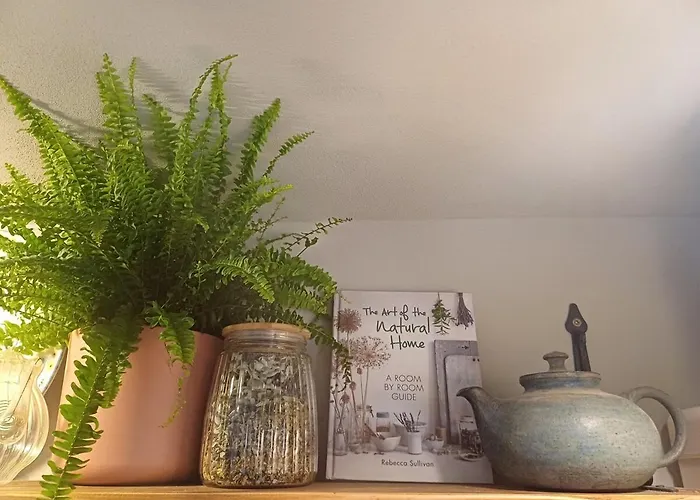 Casa Horea 54 * Cluj-Napoca