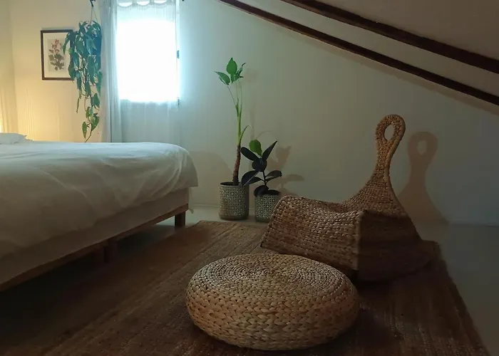 Case de vacanță Casa Horea 54