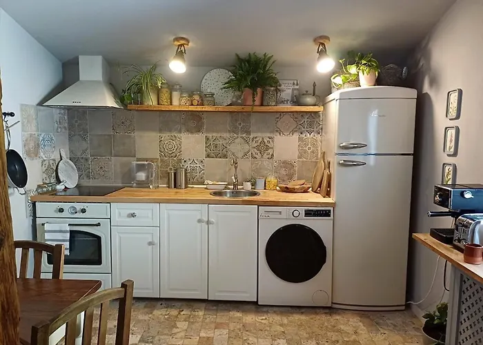 Casa Horea 54 Case de vacanță *