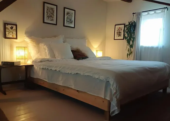 Case de vacanță Casa Horea 54